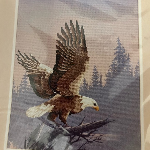 JCA Needle Treasures Eagle At Twilight Colorant Cross Stitch Kit #02556 New VTG - Picture 3 of 6